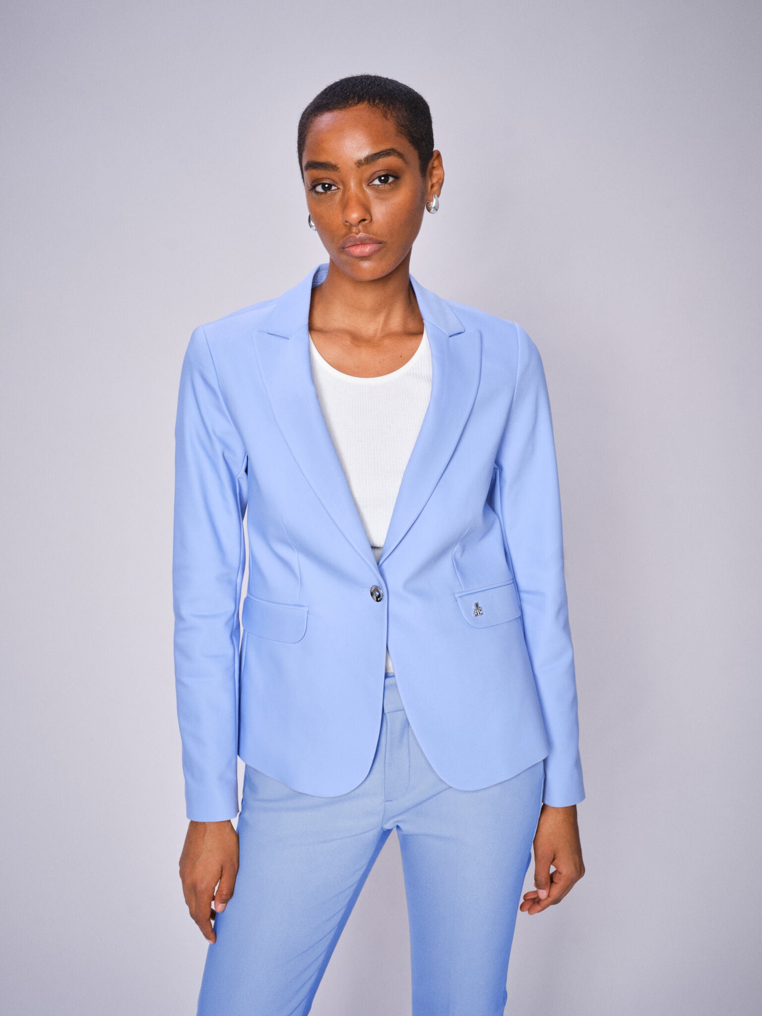 Modelshot / Hydrangea / Detail